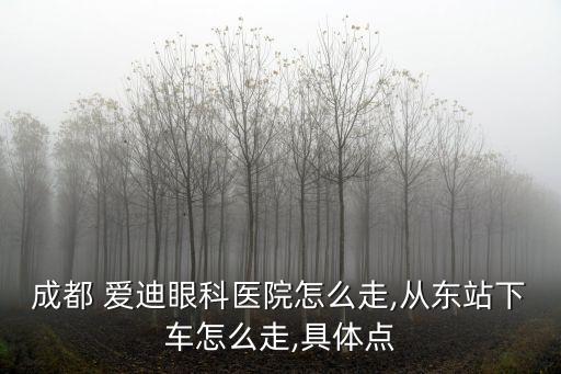 成都 愛迪眼科醫院怎么走,從東站下車怎么走,具體點