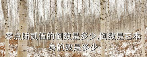 零點陸貳伍的倒數是多少,倒數是它本身的數是多少