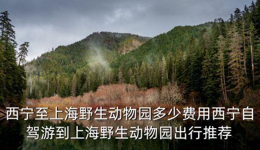 西寧至上海野生動物園多少費用西寧自駕游到上海野生動物園出行推薦