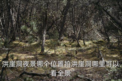 重慶洪崖洞夜景,重慶紅崖夜景寫作文:到重慶必去洪崖洞