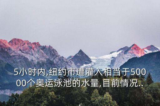 5小時內,紐約市遭灌入相當于50000個奧運泳池的水量,目前情況...