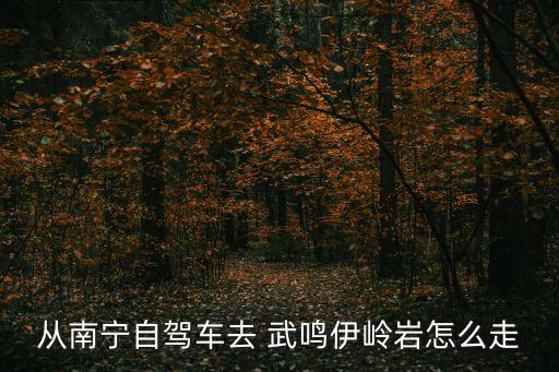武鳴伊嶺巖,武鳴伊嶺巖風景區介紹:形成于一萬年前伊斯特巖溶洞