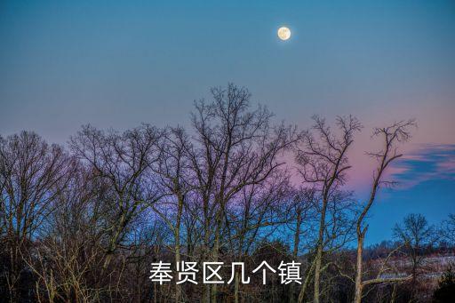 奉賢區幾個鎮