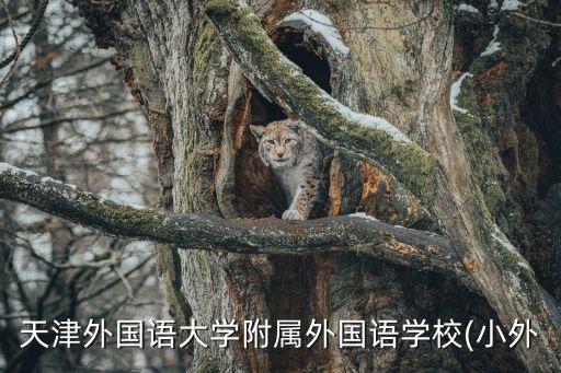 天津外國語大學附屬外國語學校(小外
