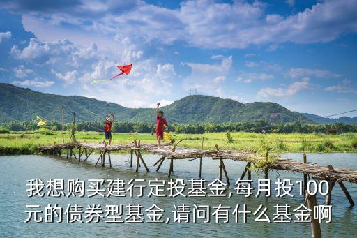 519690,這些基金是什么來頭?