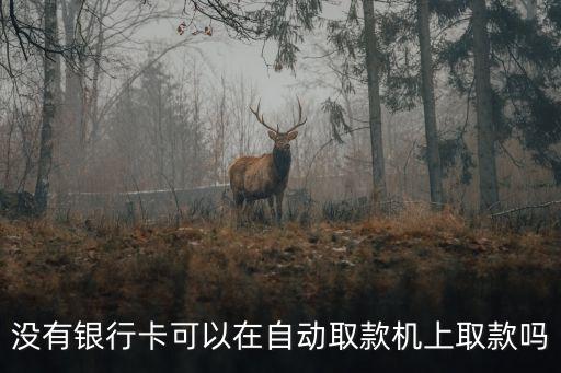 沒有銀行卡可以在自動取款機上取款嗎