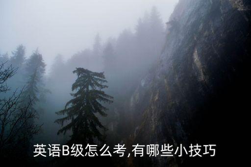 英語b級考試,英語b級考試怎么考?