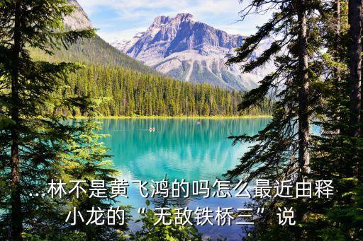 ...林不是黃飛鴻的嗎怎么最近由釋小龍的“ 無敵鐵橋三”說
