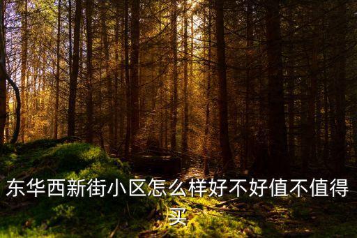 東華西新街小區怎么樣好不好值不值得買