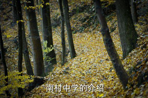 南村中學,廣州南村中學的牛車水