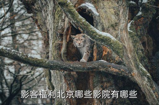 廣安門電影院,從大興開車到廣安門電影院怎么走?