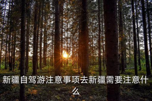 新疆自駕游注意事項去新疆需要注意什么
