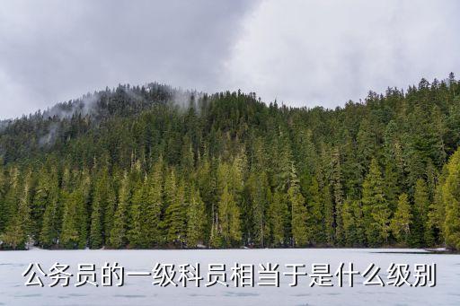 科員是什么級別,一文看懂!公務(wù)員是什么職位?