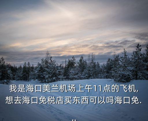 美蘭機場免稅店,?？诿捞m機場免稅店在哪里?營業時間是24小時的嗎?