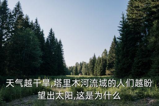 天氣越干旱,塔里木河流域的人們越盼望出太陽,這是為什么