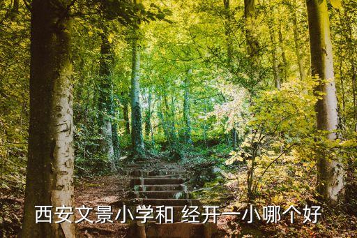 經(jīng)開一小,經(jīng)開一小和開發(fā)小學哪個好?