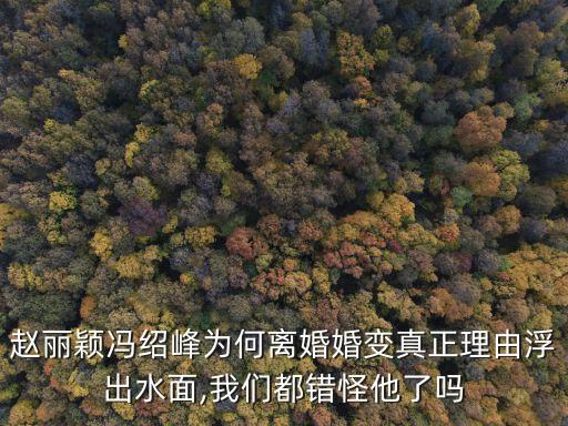 趙麗穎是誰的老婆,趙麗穎懷孕老公是誰啊
