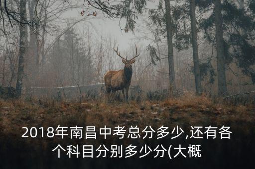 2018年南昌中考總分多少,還有各個科目分別多少分(大概