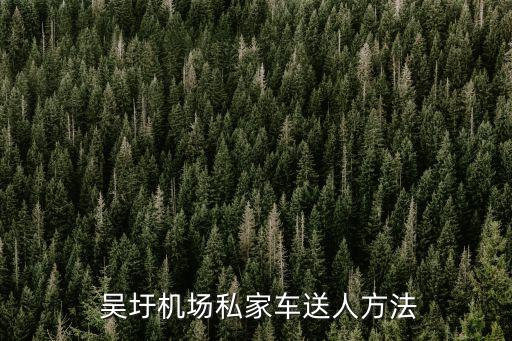  吳圩機場私家車送人方法