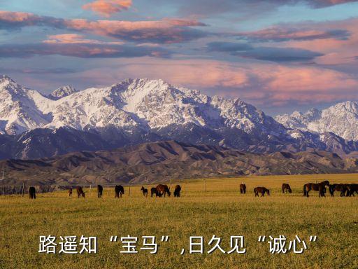 華晨寶馬鐵西工廠,戴鶴軒前一任魏嵐德加入華晨寶馬