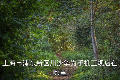 川沙店,川沙店是老板嗎?原來是這么回事?