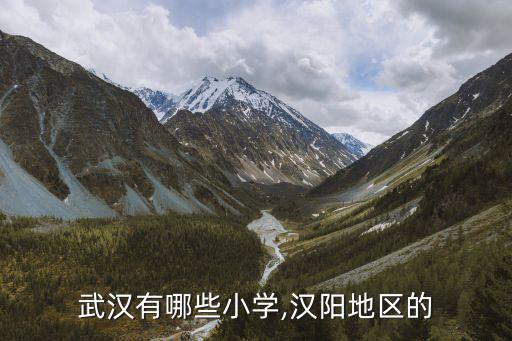 武漢有哪些小學(xué),漢陽(yáng)地區(qū)的