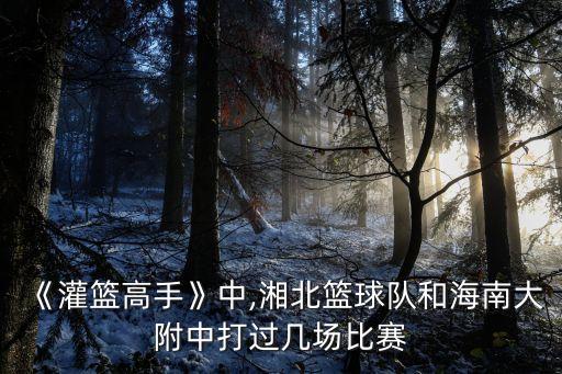 海南附中,海南第二中學附中原叫廣東省海南黎族苗族自治州民族中學