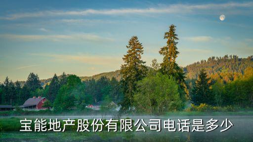 深圳寶能,深圳特產在哪里買?一文看懂