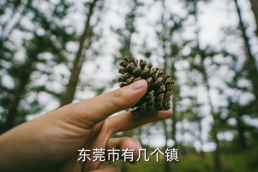 麻涌鎮(zhèn),麻涌鎮(zhèn)麻麻大道與麻涌大道交匯處