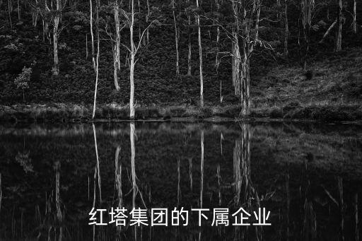 中煙實業,中國煙草專賣局二級單位如何存在?