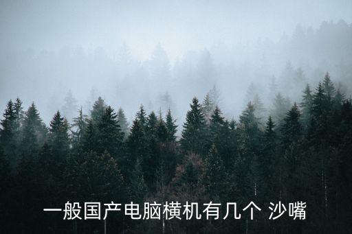一般國產電腦橫機有幾個 沙嘴