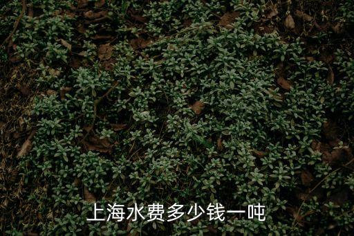 上海水費多少錢一噸