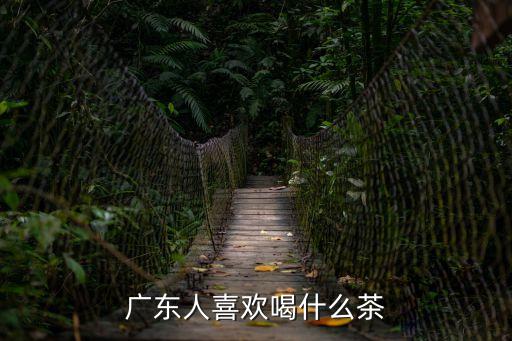 廣東人喜歡喝什么茶