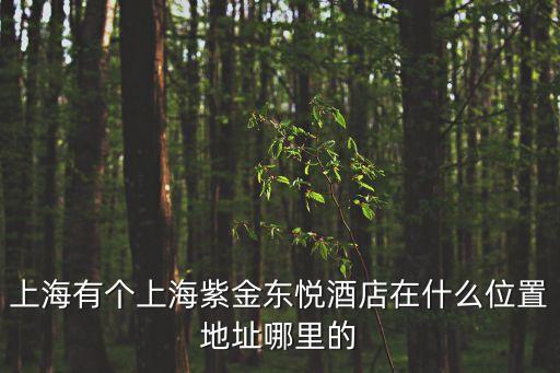 上海有個(gè)上海紫金東悅酒店在什么位置地址哪里的