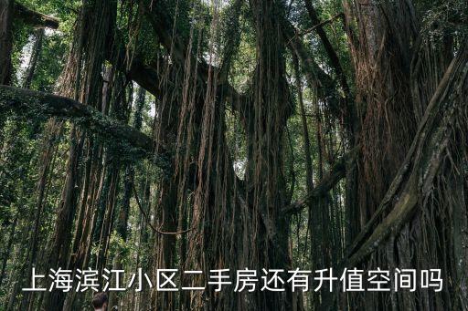 上海市濱江小區(qū)房價預(yù)測，未來三個月上海房價的走向