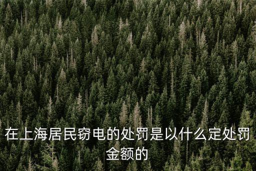 在上海居民竊電的處罰是以什么定處罰金額的