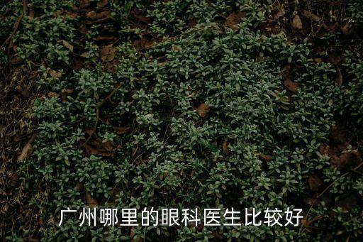 廣州哪里的眼科醫(yī)生比較好