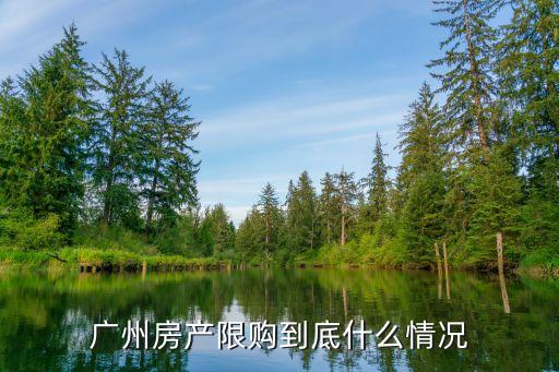 廣州山姆限購政策，廣州房子限購政策有哪些