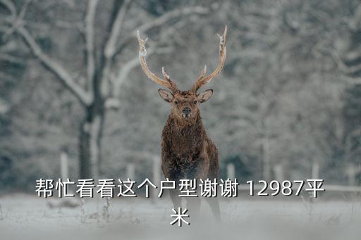 幫忙看看這個戶型謝謝 12987平米