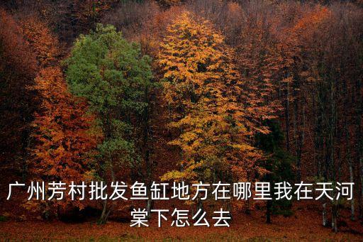 廣州花地魚缸批發，廣州芳村批發魚缸地方在哪里我在天河棠下怎么去