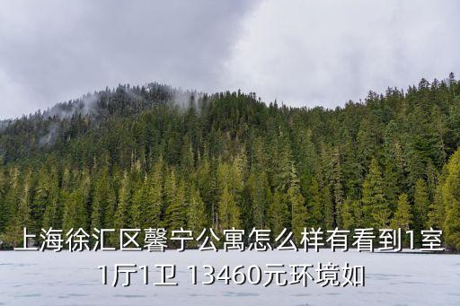 上海徐匯區馨寧公寓怎么樣有看到1室1廳1衛 13460元環境如