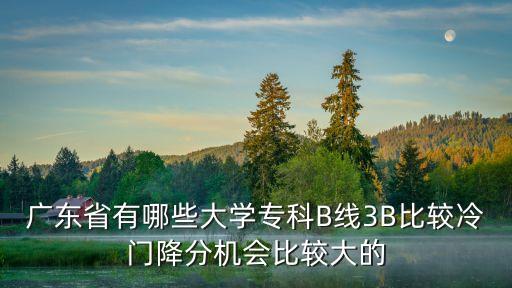 廣東省有哪些大學專科B線3B比較冷門降分機會比較大的
