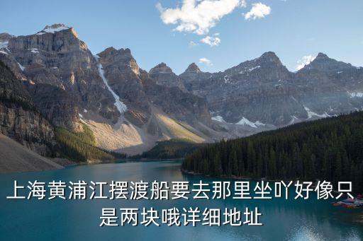 上海市輪渡公司官網，上海市輪渡有限公司在什么區