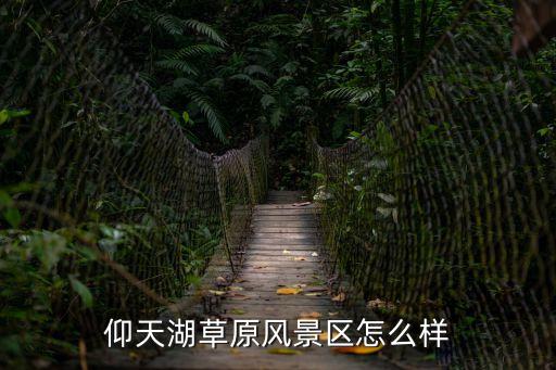 仰天湖草原風景區怎么樣