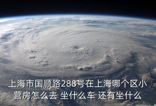 上海市國順路288號在上海哪個區(qū)小營房怎么去 坐什么車 還有坐什么