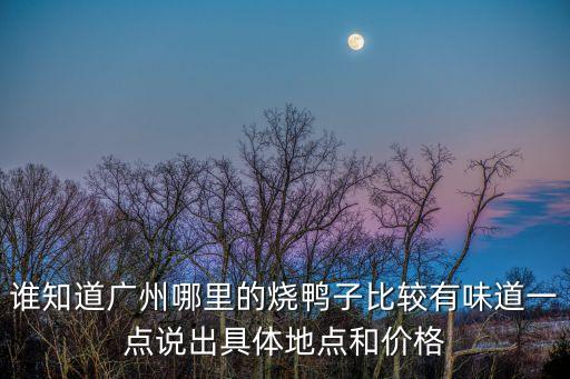 廣州深井燒鴨哪一家最正宗，廣州哪里有正宗烤鴨