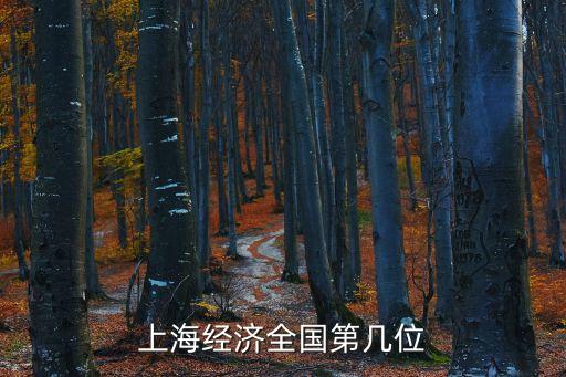 上海經(jīng)濟(jì)全國(guó)第幾位