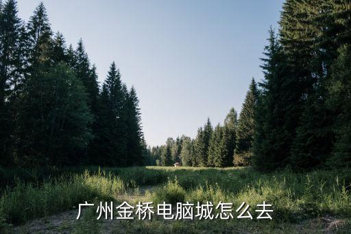 廣州市金橋電腦城，廣州金橋電腦城怎么去