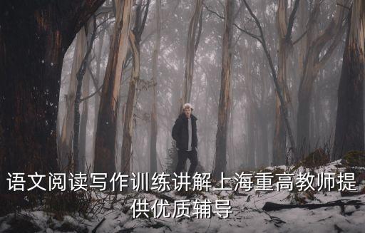 上海市語文教師葉蕾，語文閱讀寫作訓練講解上海重高教師提供優質輔導