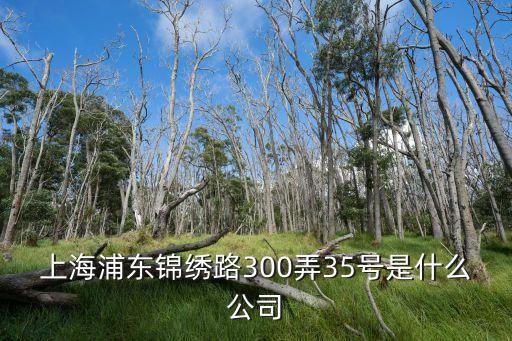 上海浦東錦繡路300弄35號是什么公司